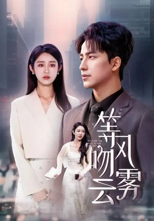 绝命毒师 电视剧 2008 文斯·吉里根